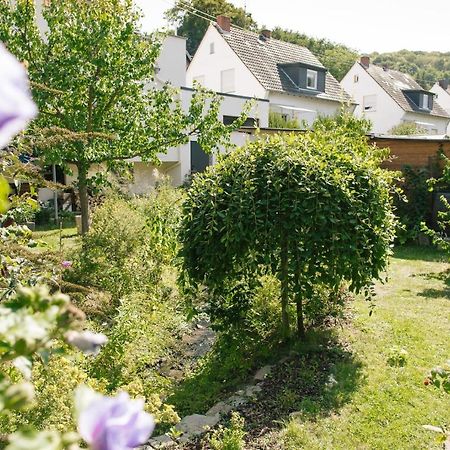 Ferienwohnung Am Breyer Talbach المظهر الخارجي الصورة